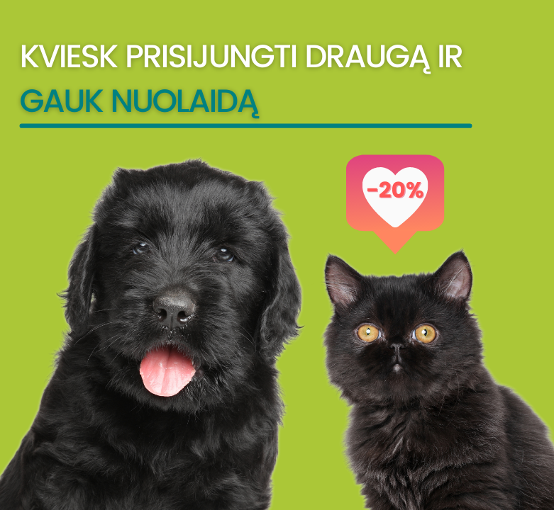 Draugų dienos sugrįžta Juodojo penktadienio išpardavimams