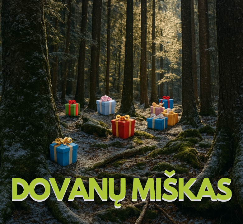 Dovanų miškas: atrask savo tobulą dovaną tarp 12 stebuklingų pasirinkimų🌲✨🎁