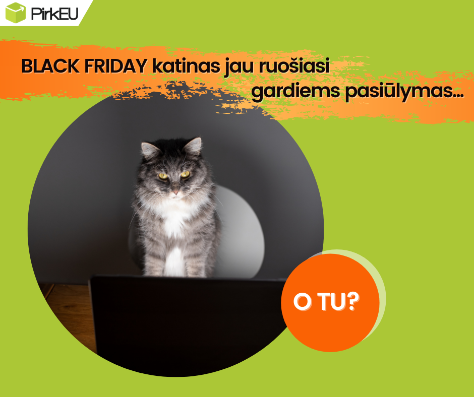 BLACK FRIDAY katinas jau ruošiasi gardiems pasiūlymas!