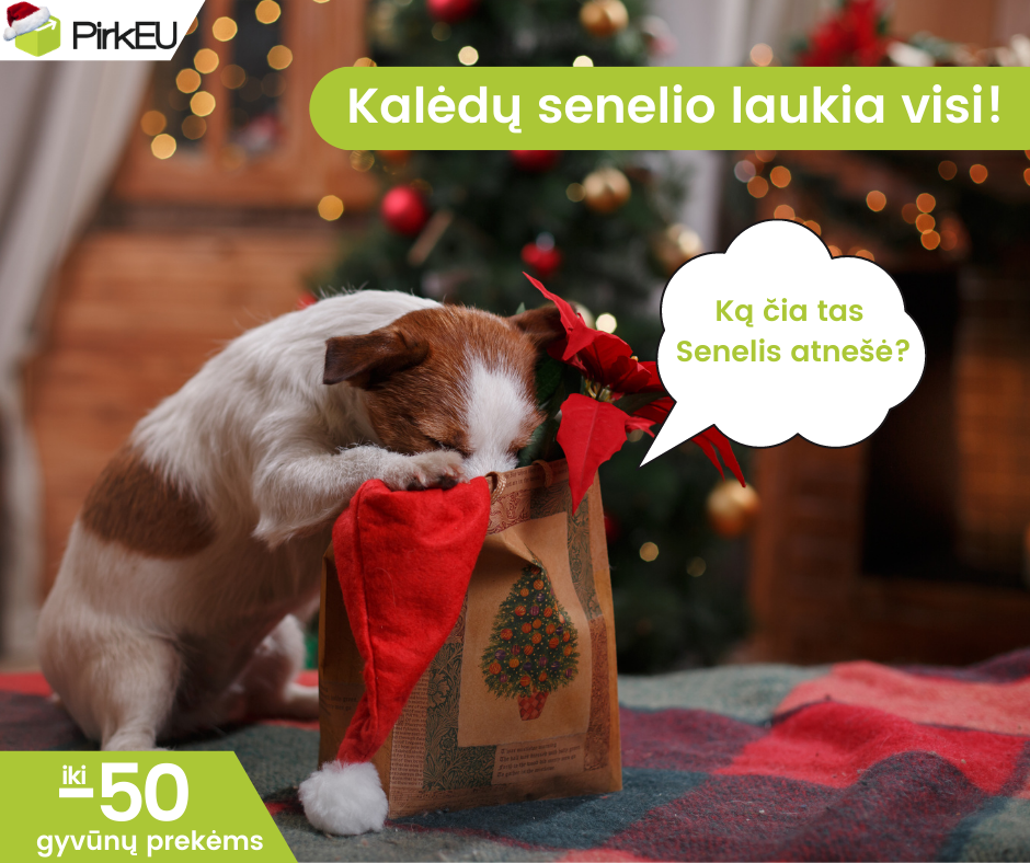 Kalėdų senelio laukia visi!